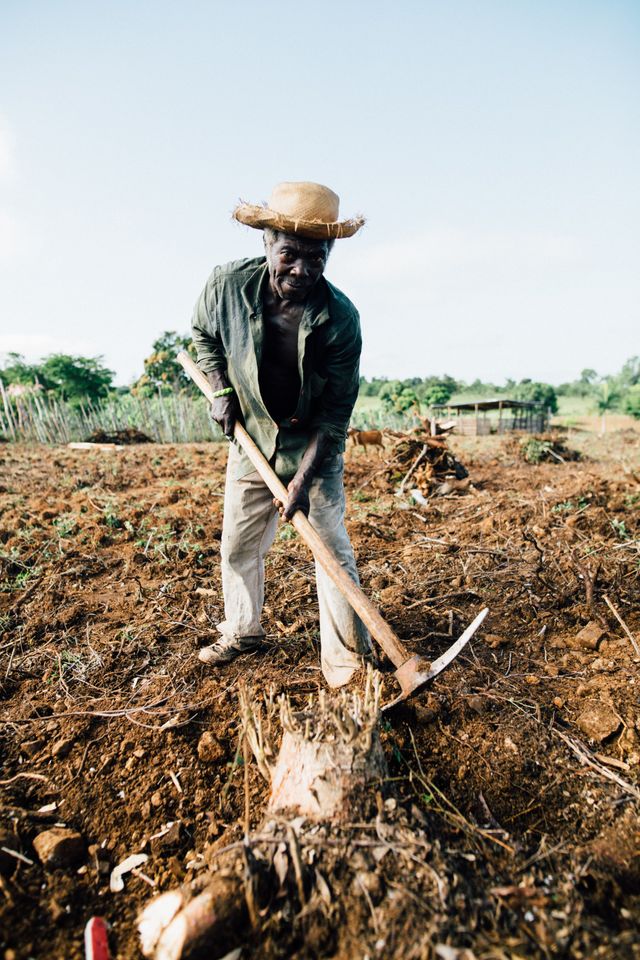 Agriculteur au travail sur le terrain